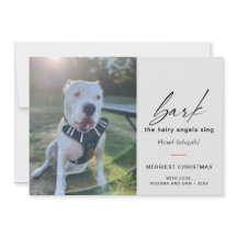 Modern Hond Blaft De Harige Hoeken Zingen Foto