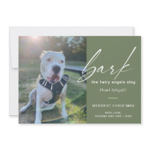 Modern Hond Blaft De Harige Hoeken Zingen Foto