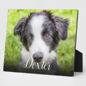 Modern huisdier foto-herdenkingsscript fotoplaat (Zijkant)
