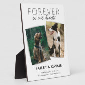 Modern huisdier-herdenkingssteen fotoplaat (Zijkant)