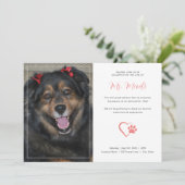 Modern huisdier Memorial foto viering uitnodiging (Staand voorkant)