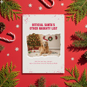 Modern Humor Funny Dog Photo Christmas Feestdagenkaart