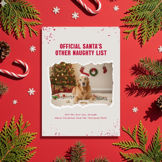 Modern Humor Funny Dog Photo Christmas Feestdagenkaart