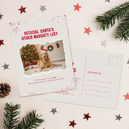 Modern Humor Funny Photo Dog Christmas Postcard Briefkaart