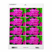 Modern Hydrangea Pink Floral Blossom Wedding Etiket (Full Sheet)