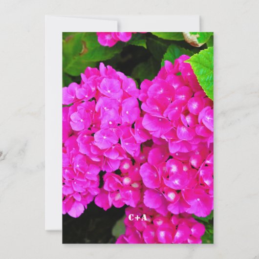 Modern Hydrangea roze Flowers Summer Wedding Save The Date (Achterkant)