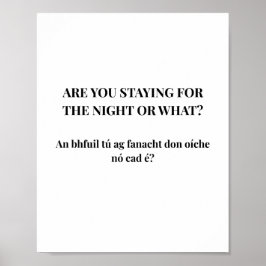 Modern Iers Grappige Ierse Citat Poster