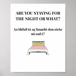 Modern Iers Grappige Ierse Citat Poster