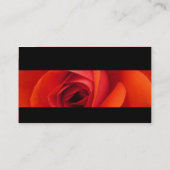 Modern II - Red Rose Visitekaartje (Achterkant)