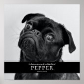 Modern 'In Loving Memory' huisdierhond herdenkings Poster (Voorkant)