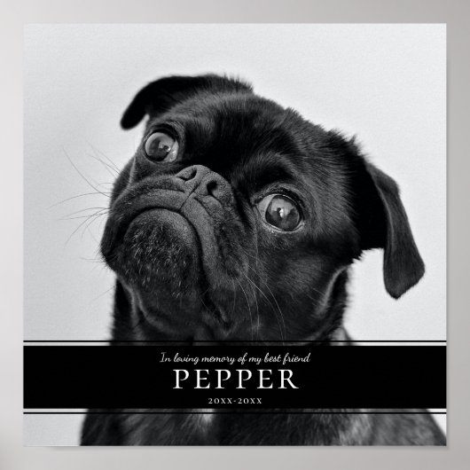 Modern 'In Loving Memory' huisdierhond herdenkings Poster (Voorkant)
