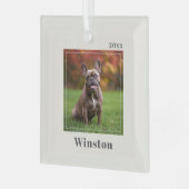Modern Ivory Custom Pet Name Photo Glas Ornament (Voorkant links)