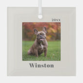 Modern Ivory Custom Pet Name Photo Glas Ornament (Voorkant)
