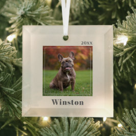 Modern Ivory Custom Pet Name Photo Glas Ornament