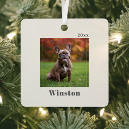 Modern Ivory Custom Pet Name Photo Metalen Ornament