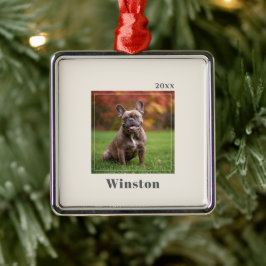 Modern Ivory Custom Pet Name Photo Metalen Ornament