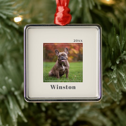 Modern Ivory Custom Pet Name Photo Metalen Ornament (Boom)