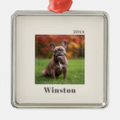 Modern Ivory Custom Pet Name Photo Metalen Ornament (Voorkant)