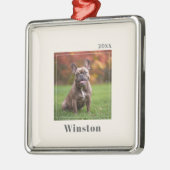 Modern Ivory Custom Pet Name Photo Metalen Ornament (Links)