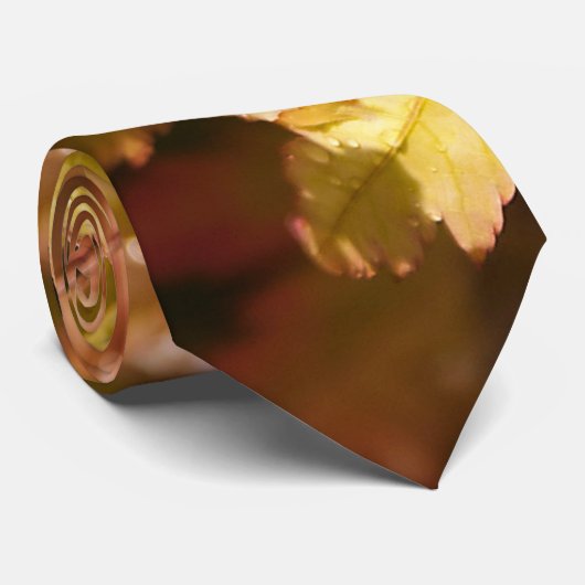 Modern Japans Maple Stropdas (Opgerold)