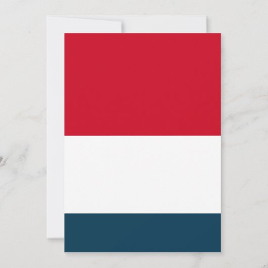 Modern Juli 4th Backyard BBQ Party Rood Wit Blauw Kaart (Achterkant)