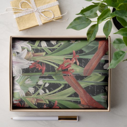 Modern kardinaal Amaryllis Collage Tissue Paper Tissuepapier (Geschenk)