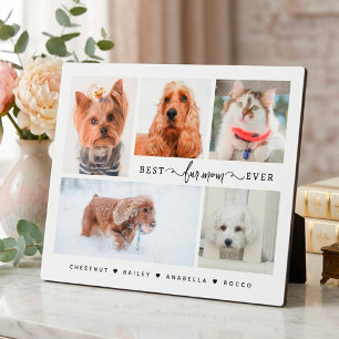 Modern Kat & Hond Moeder Cadeau Beste Vacht Moeder Fotoplaat