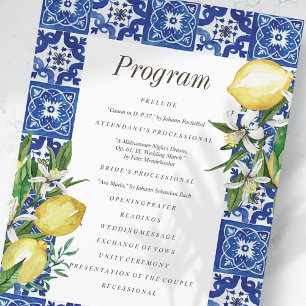 Modern Lemon Foliage Blue Mediterranean Wedding Programmakaart