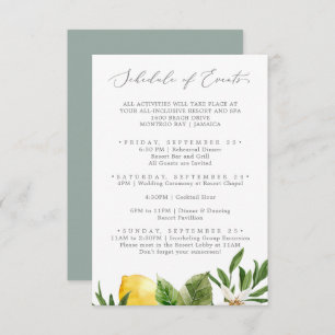 Modern Lemon Garden Wedding Schedule of Events Informatiekaartje