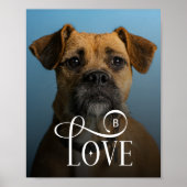 Modern Love Custom Boxer Dog Pets Photo Monogram Poster (Voorkant)