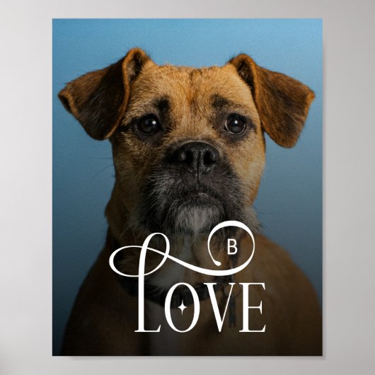 Modern Love Custom Boxer Dog Pets Photo Monogram Poster (Voorkant)