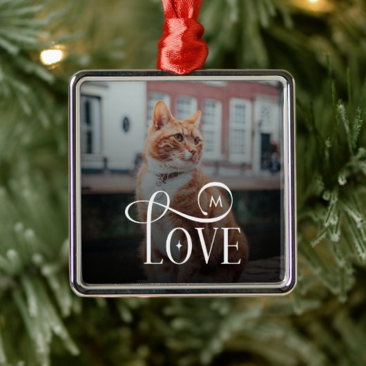 Modern Love Custom Cat Pets Photo Monogram Metalen Ornament (Boom)