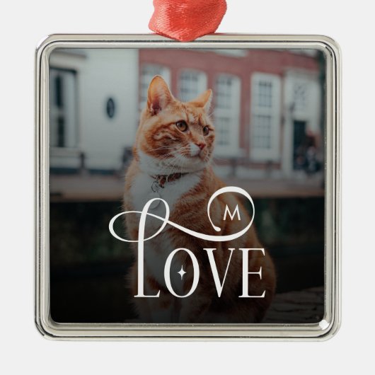 Modern Love Custom Cat Pets Photo Monogram Metalen Ornament (Voorkant)