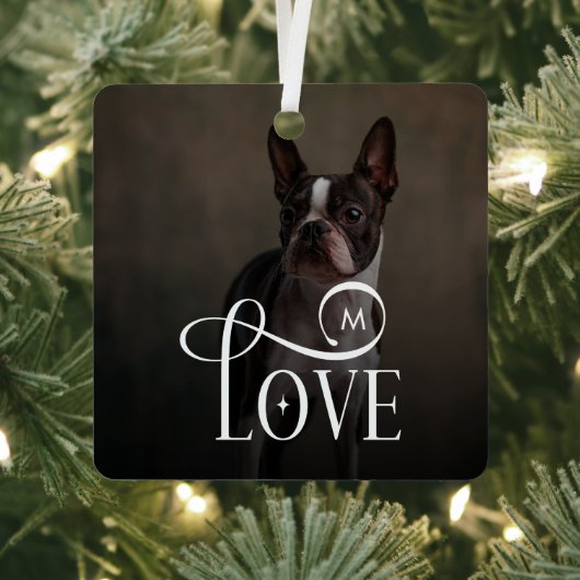 Modern Love Custom Dog Pets Photo Monogram Metalen Ornament (Insitu)