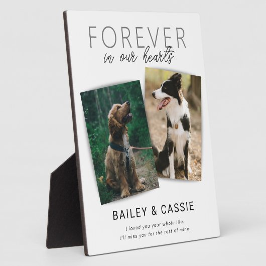 Modern Loving Memory Pet Memorial Fotoplaat (Zijkant)