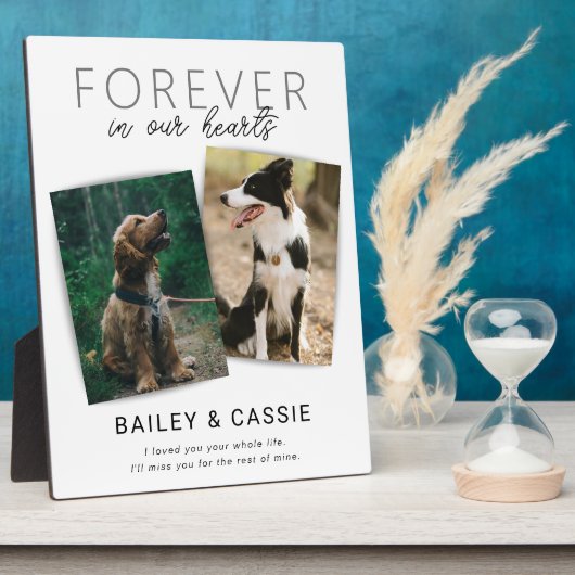 Modern Loving Memory Pet Memorial Fotoplaat (Zijkant)