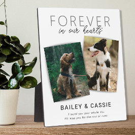 Modern Loving Memory Pet Memorial Fotoplaat