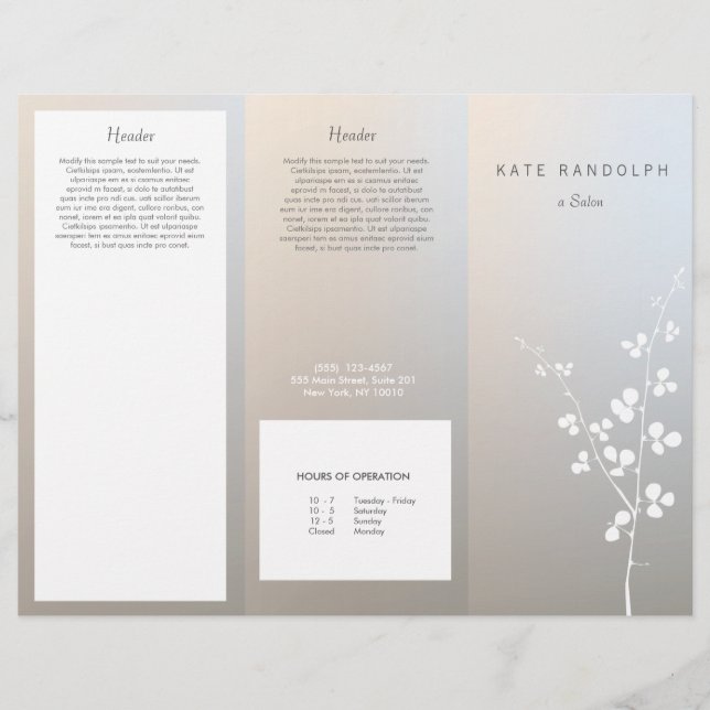 Modern Luminous Silver Salon Spa Brochure (Voorkant)
