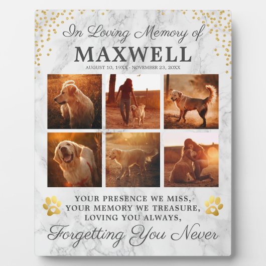 Modern Marble Memorial Dog Fotoplaat (Voorkant)