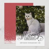Modern Meowy kerstfotokaartje voor gezelschapsdier Kaart (Voorkant / Achterkant)