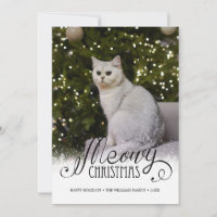Modern Meowy kerstfotokaartje voor gezelschapsdier
