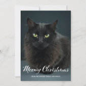 Modern Meowy-kerstkaartje (Voorkant)