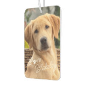 Modern Mijn Beste Vriend Afbeelding Liefde Pauw Pr Luchtverfrisser (Links)