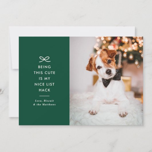 Modern Minimal Bow Nice List Pet Christmas Photo Feestdagenkaart (Voorkant)