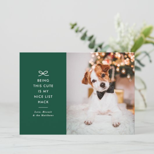 Modern Minimal Bow Nice List Pet Christmas Photo Feestdagenkaart (Staand voorkant)