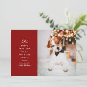 Modern Minimal Bow Nice List Pet Christmas Photo Feestdagenkaart (Staand voorkant)