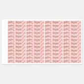 Modern Minimalist Blush Quake Coral Rose Lip Gloss Labels (Vel)