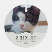 Modern Minimalist Pet Cat's Eerste Kerstfoto Glas Ornament (Achterkant)