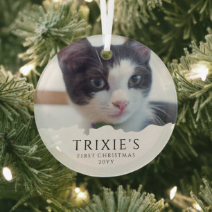 Modern Minimalist Pet Cat's Eerste Kerstfoto Glas Ornament