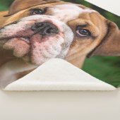 Modern minimalistisch gepersonaliseerd Hondenliefh Sherpa Deken (3/4)